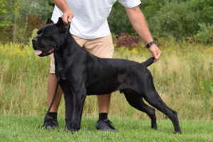 Resized_received_1499408604140615 copy