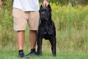 Resized_received_1672973349851792 copy