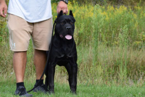 Resized_received_614968797382964 copy